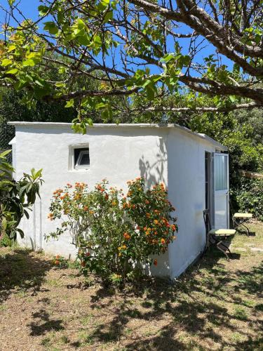 Suite with stunning views of Africa, Algeciras (zdjęcie 10)