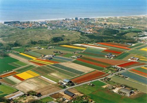 Loft aan Zee, Penthouse B&B aan de Schoorlse duinen