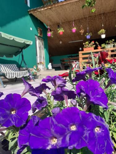 Cabana Vanatorului in Bălnaca