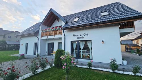 Viesnīcas āriene, Floare de Colt Sapanta in Sapanta