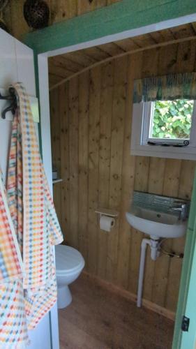Myndy The Shepherd's Hut in Church Stretton