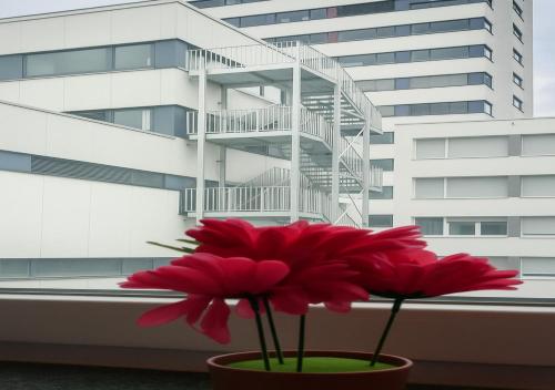 外部景觀, Eva Zimmer Zentral Günstig (Eva Zimmer Zentral Gunstig) in 海爾布隆