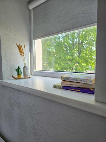 Studio Apartment image 3