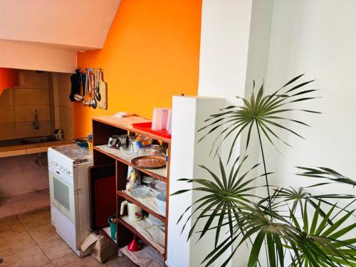 virtuve, Bachita's apartment in Salcedo