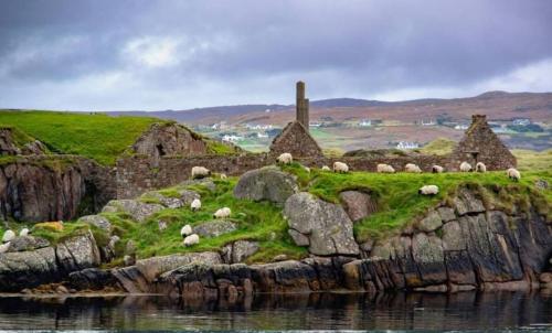 Cosy home by the sea in Dunglow