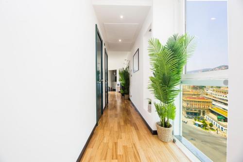 One-Bedroom Apartment image 6