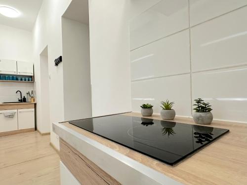 Gamma Room 10 min to Old Town Gdansk in Orunia