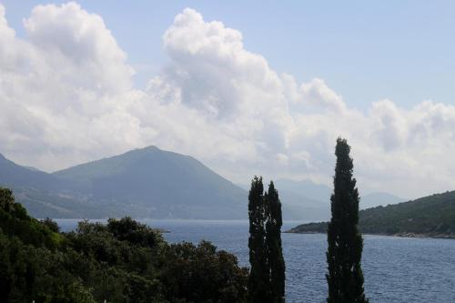 Double Room with Balcony and Sea View image 4
