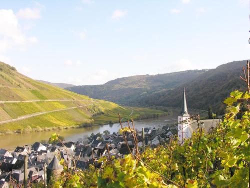 Weingut & Gästehaus Mees, Briedel (photo 8)