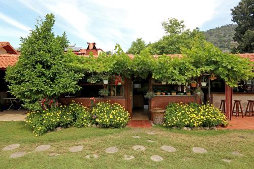 Dış Görünüm, Midas Pension in Dalyan