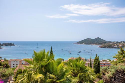 Studio Palmeraie in Sainte-Guitte