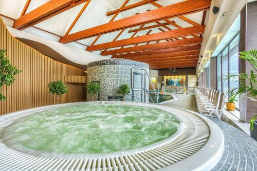 Zwembad, Termy Szaflary in Bialy Dunajec