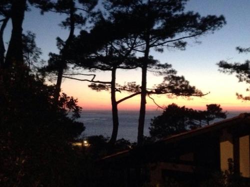 Maison Albatros chambre d'hôte Pyla sur Mer