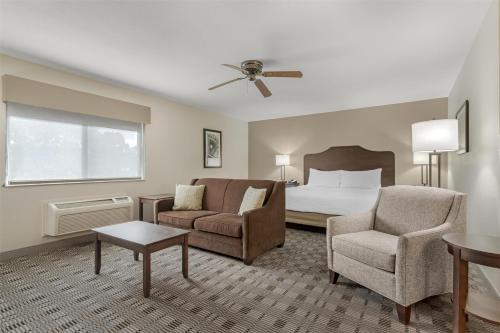 1 king bed, 1 sofa bed