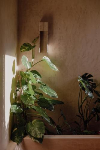 Standard Suite image 1