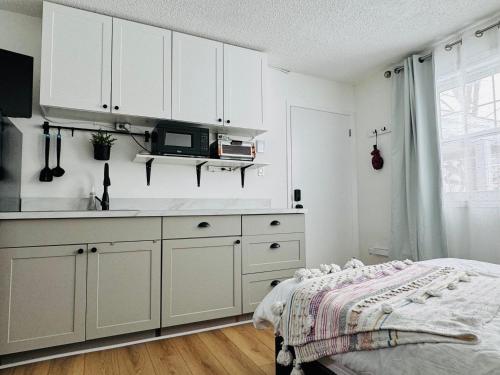 NookSide Nest Studio Queen Parking Kitchenette in คาร์ลตัน เพลซ (ออนตาริโอ)