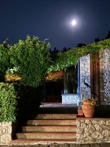 ทัศนียภาพ, Il riccio 5 camere vista mare eccezionale in ปอร์โต ซันโต สเตฟาโน