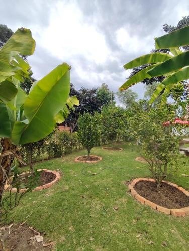 Cabana Mirador de Polo de Villa de Leyva in Sopota