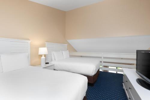 2 double beds, 1 sofa bed