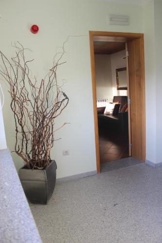 บริการและสิ่งอำนวยความสะดวก, Casa da Ribeirinha in ซาบูกุยโร