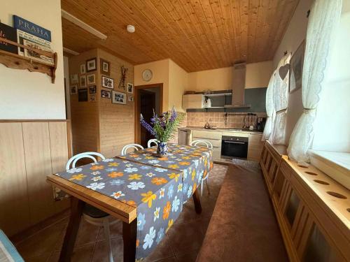 廚房, Apartment in Pec pod Snezkou 2098 in 斯奈庫山麓派茲