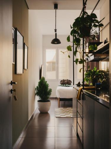 Brassbell l DT l Hannaux l Tahrir sq near Mohammed Ali mecset