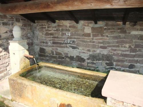 Gîte calme à Fougerolles, idéal pour familles - FR-1-583-456 (Gite calme a Fougerolles, ideal pour familles - FR-1-583-456) in La Vaivre