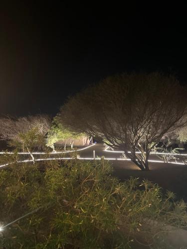 The Green Haven in Khatt