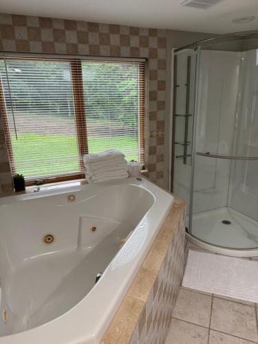 浴室, Quiet Cozy Stay Spacious Home Near Beach & Shops in 哈姆登