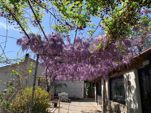 Garden, Tra Fiori e Antichita in Contigliano