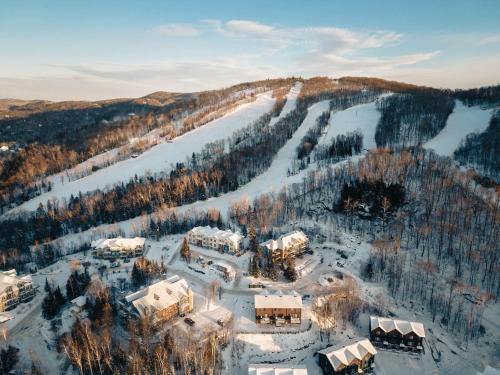 Neve Pool & beach in the heart of Mont-Blanc in Saint-Faustin-Lac-Carré (QC)