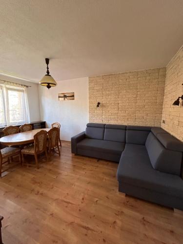 Wonderful house in 索科洛夫