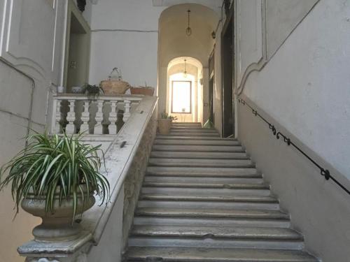 Bbsantanna2 – Bari, LA