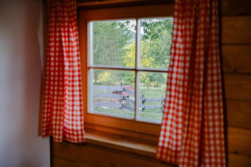 Apartment Iko - image 11