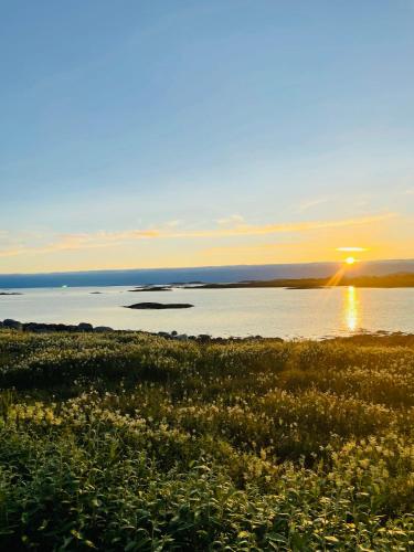 Alrededores, Leilighet på Herøy (Leilighet pa Herøy) in Sandnessjoen