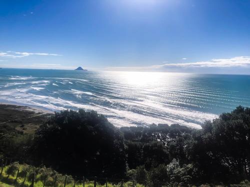 ชายหาด, Bed And Breakfast at Tirohanga Beach in โอโพทิกิ