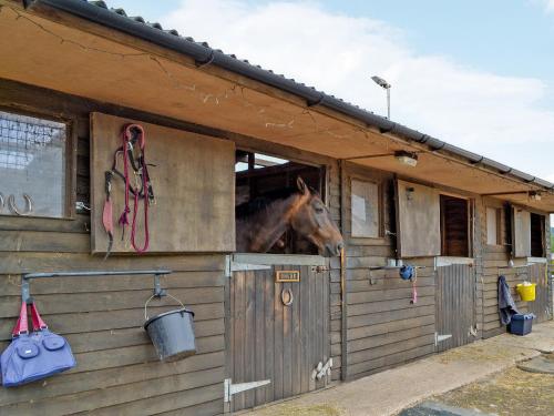 外部景觀, The Pavilion in 漢利堡伍斯特