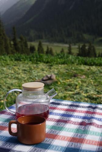Apkārtne, Ernis Yurt Camp in Teploklyuchenka