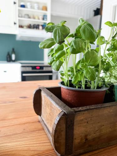 Vista exterior, Idyllic Holiday Home With Forest View in Ebeltoft