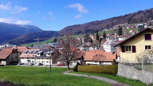 Big Villa in Sainte-croix in Sainte-Croix VD, Schweiz