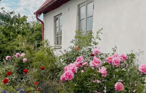 Buitenkant, Charming Country Holiday Home In Österlen (Charming Country Holiday Home In Osterlen) in Loderup