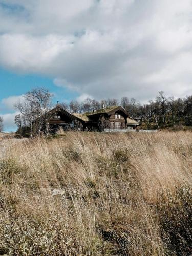 Large Cabin By Farhovdtjønn In Rauland, Rauland