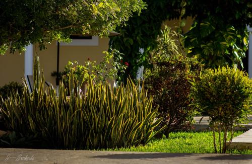 Faciliteiten, Hotel Hacienda de Izamal in Guadalupe