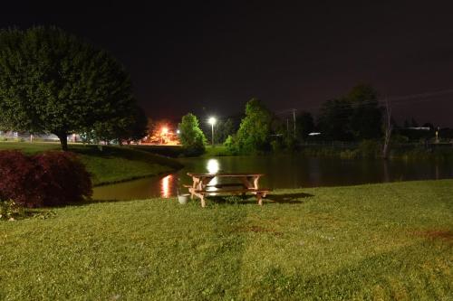 周邊環境, Laurel Lake Cabins in 科爾賓