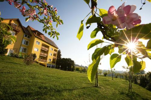 Ballonhotel Thaller - image 10