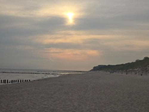 DDC, Dziwnów (Foto 9)