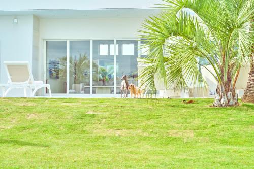 THE NALU 愛犬と泊まれるvilla 温水プール サウナ BBQ ドッグラン 海まで徒歩5分 千葉 一宮 ザ ナルー