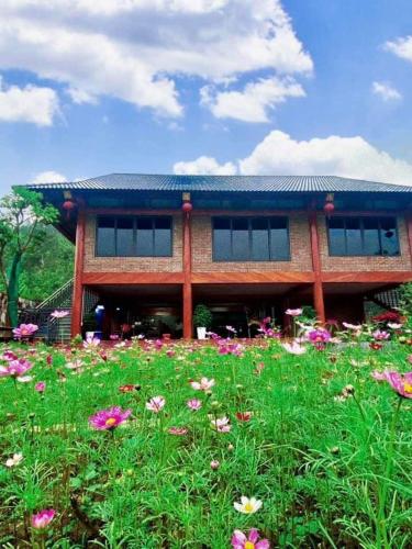 Thung Din Homestay - 정원