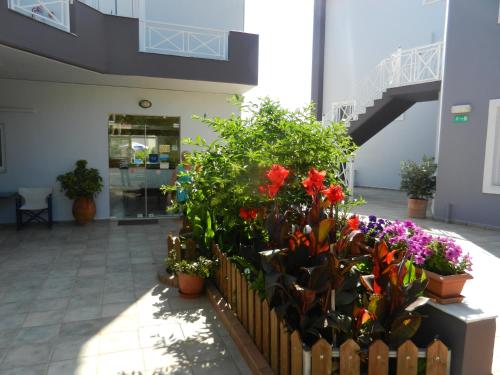 Athena Hotel - image 3