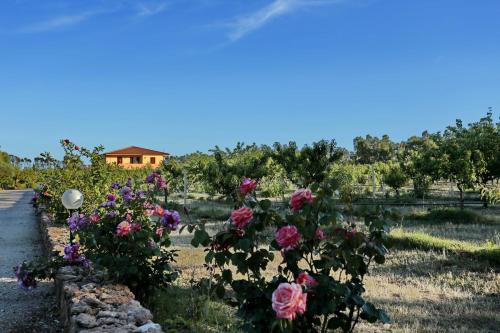 Bed and breakfast Le Camelie - image 10